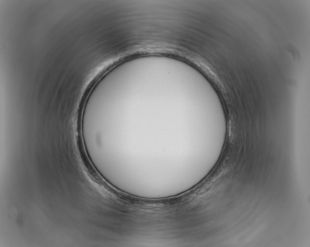 X0000111150438200906301041