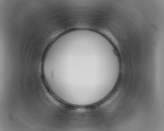 X0000111150441200906301041