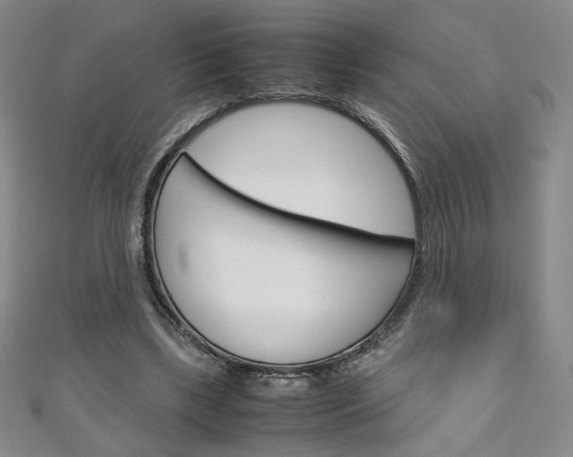 X0000111150443200906301041