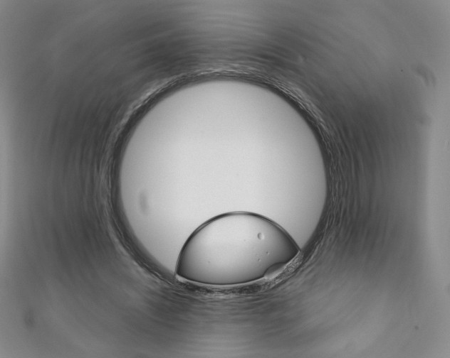 X0000111150444200906301041
