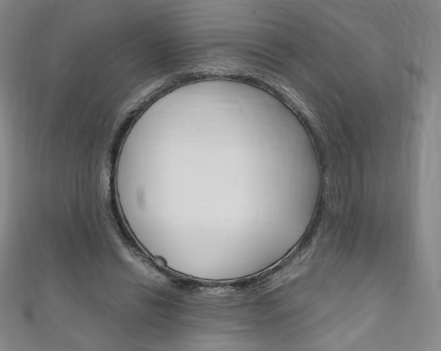 X0000111150446200906301041