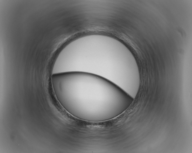 X0000111150448200906301041