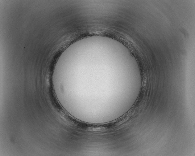 X0000111150452200906301041