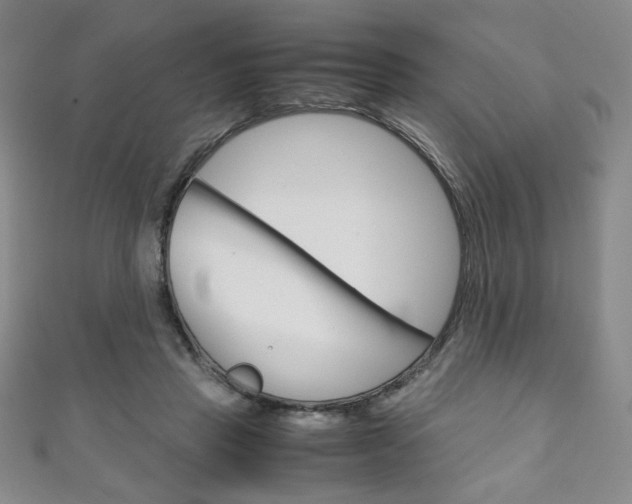 X0000111150453200906301041