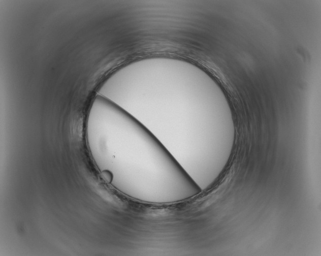X0000111150454200906301041