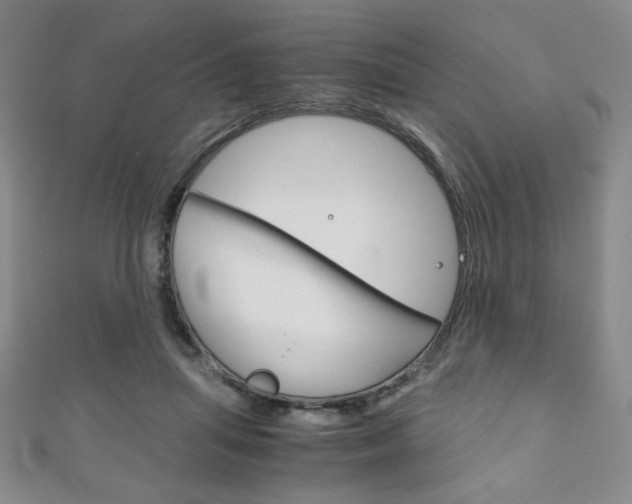 X0000111150455200906301041