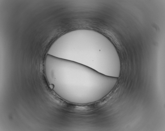 X0000111150457200906301041