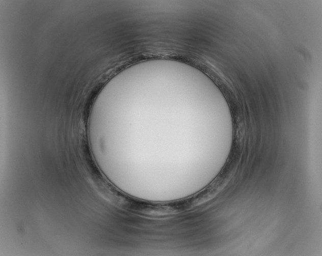X0000111150459200906301041