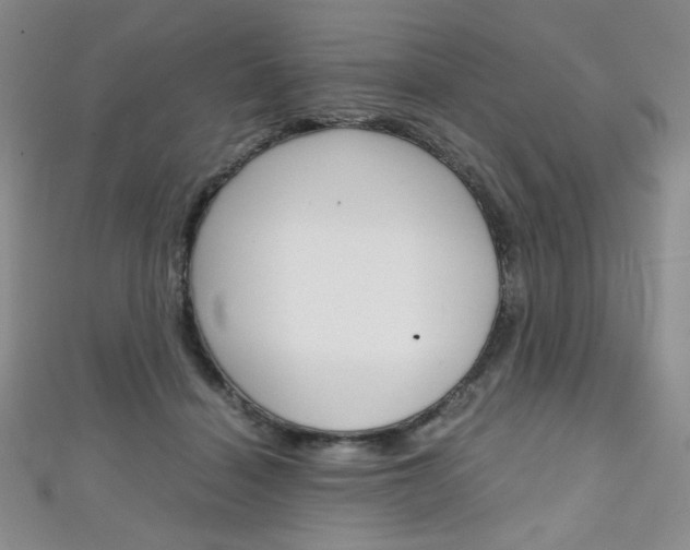 X0000111150460200906301041
