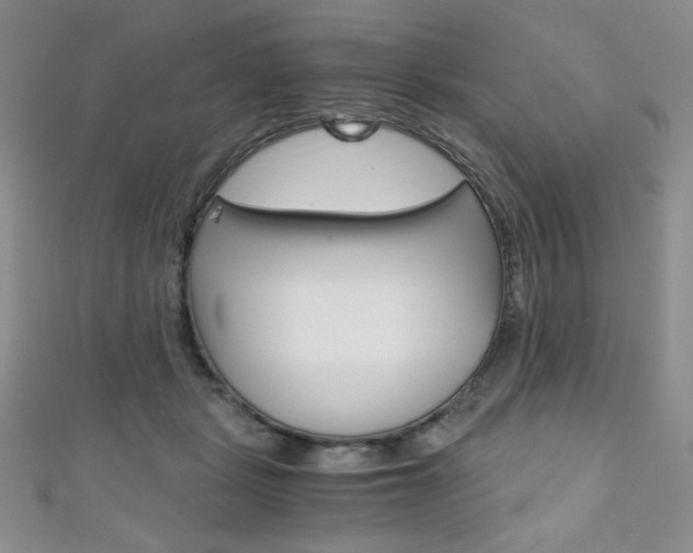 X0000111150461200906301041