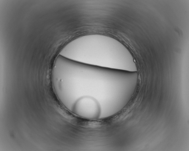 X0000111150462200906301041