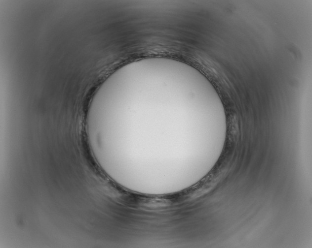 X0000111150463200906301041