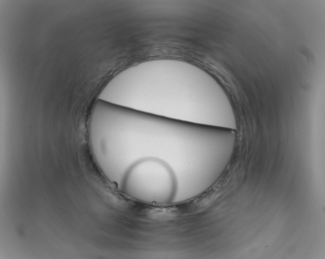 X0000111150465200906301041