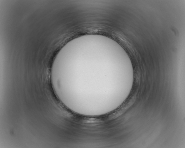X0000111150467200906301041