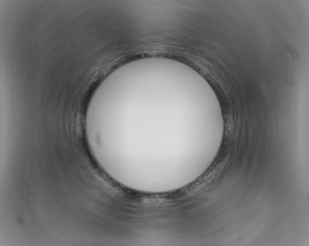 X0000111150470200906301041