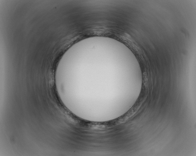 X0000111150471200906301041