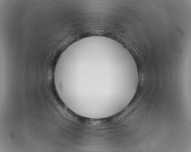 X0000111150472200906301041