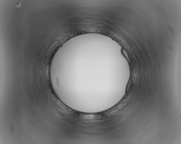 X0000111150473200906301041