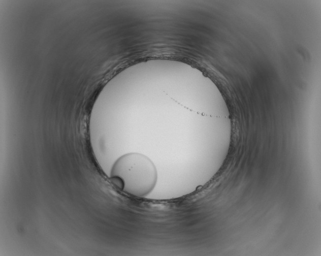 X0000111150475200906301041