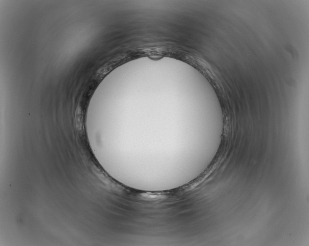 X0000111150477200906301041