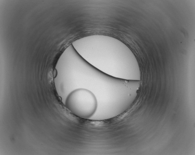 X0000111150478200906301041