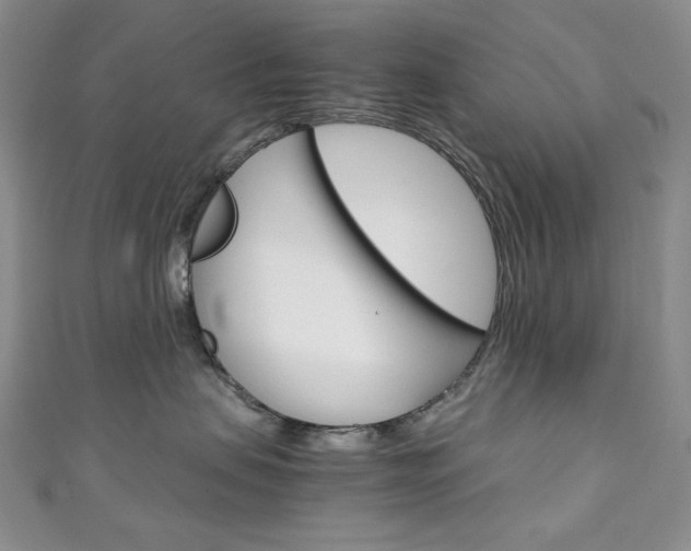 X0000111150479200906301041