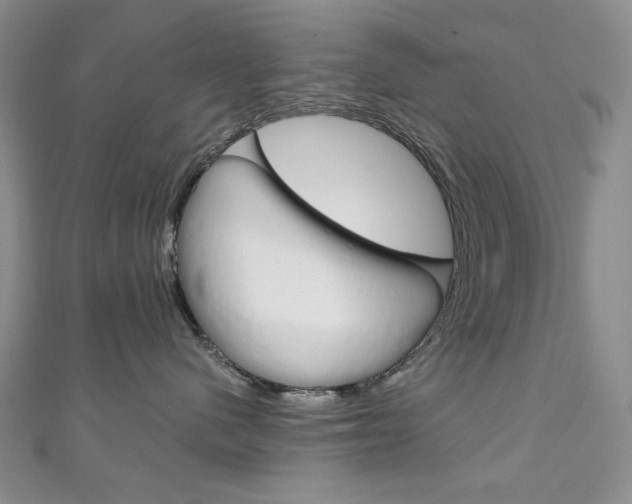 X0000111150480200906301041