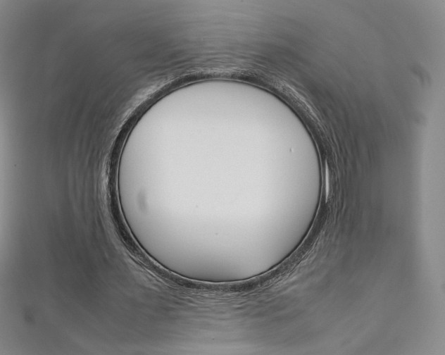 X0000111150483200906301040