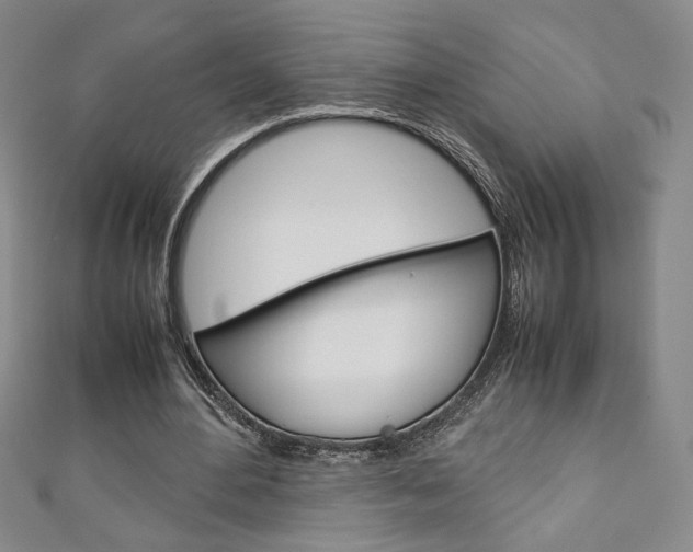 X0000111150484200906301040