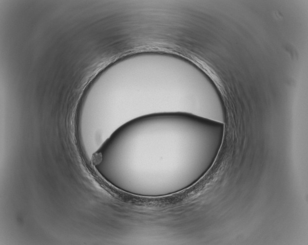 X0000111150485200906301040