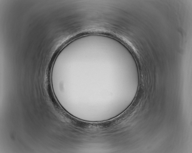 X0000111150487200906301040