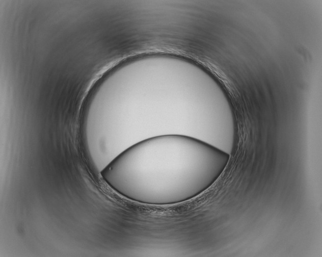 X0000111150488200906301040