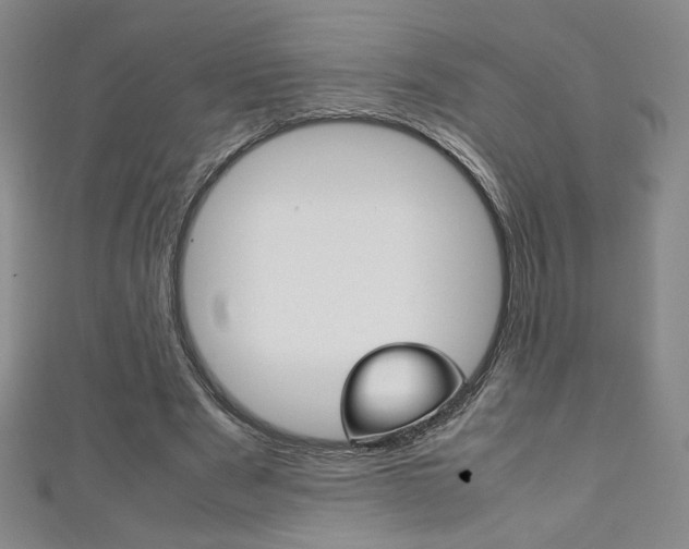 X0000111150489200906301040