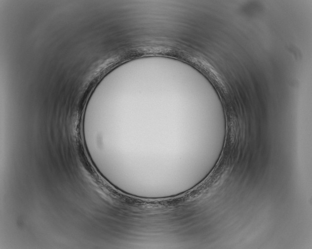 X0000111150490200906301040