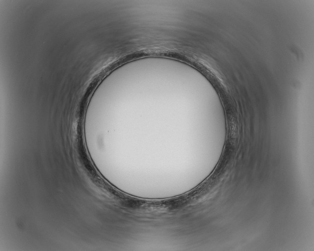 X0000111150491200906301040