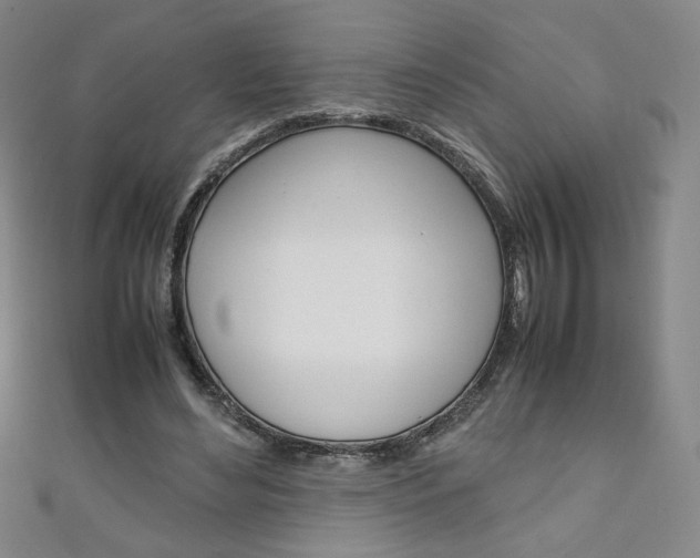 X0000111150492200906301040