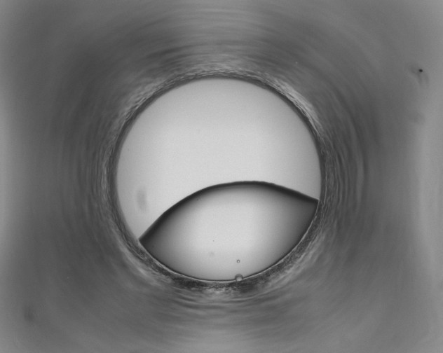X0000111150493200906301040