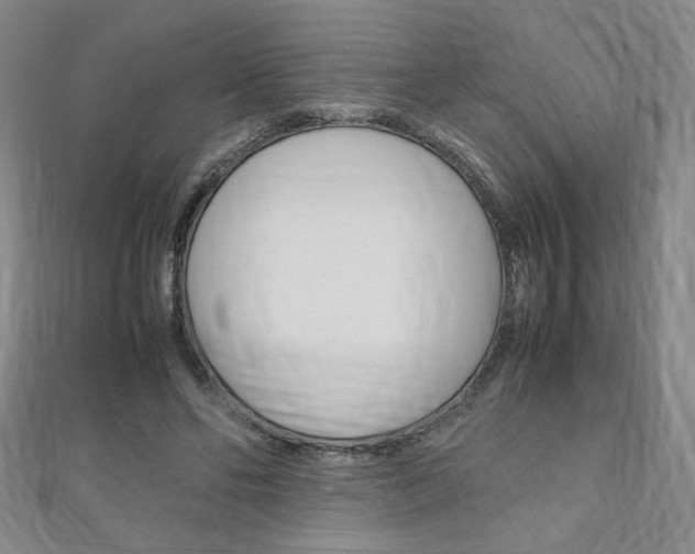 X0000111150494200906301040