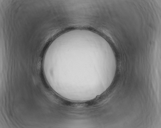 X0000111150495200906301040