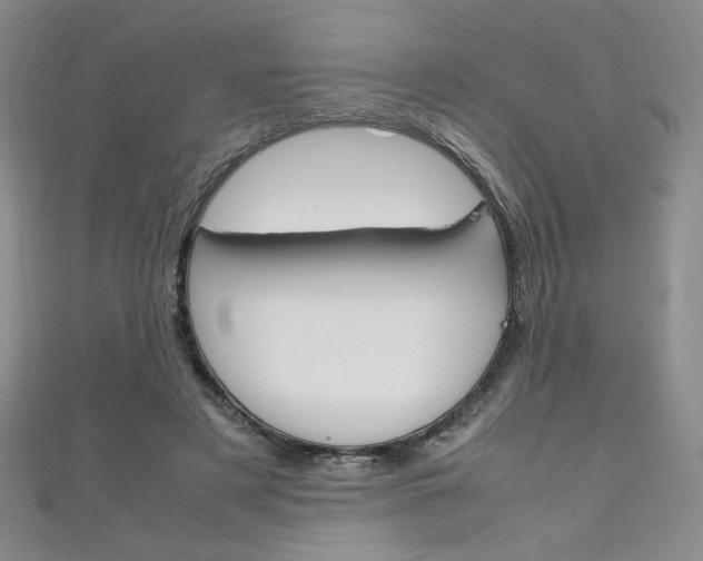 X0000111150497200906301040