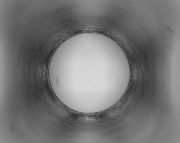 X0000111150498200906301040