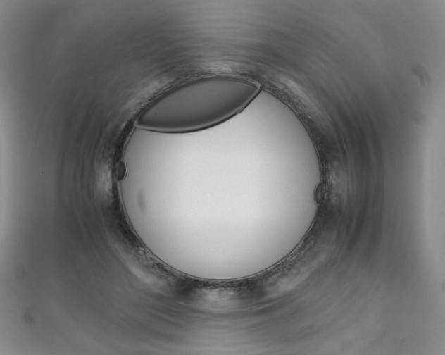 X0000111150500200906301040