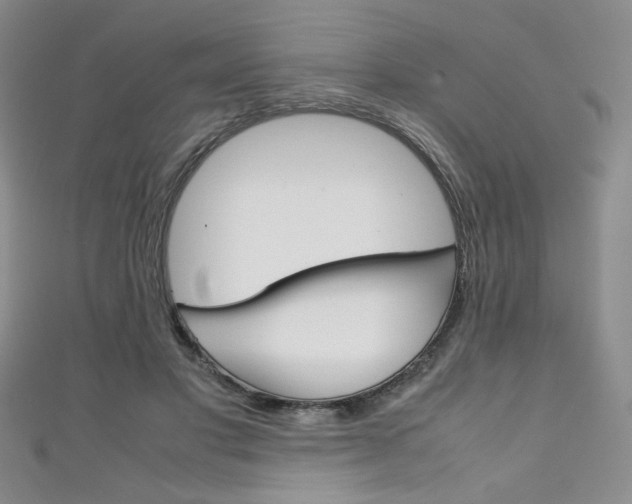 X0000111150501200906301040