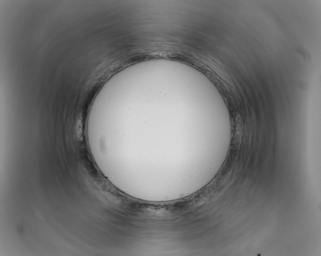 X0000111150502200906301040