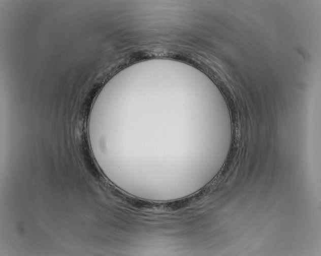 X0000111150503200906301040