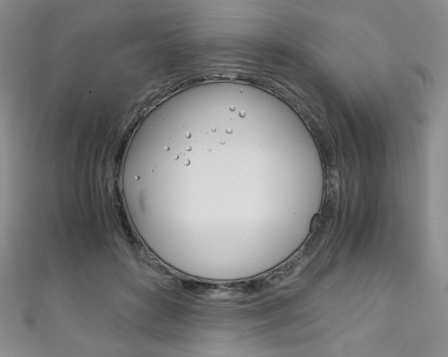 X0000111150504200906301040
