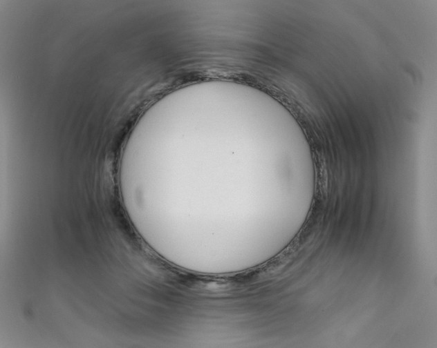 X0000111150506200906301040