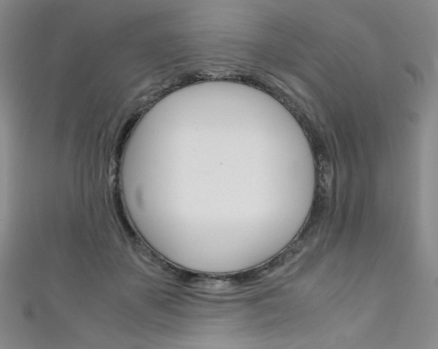 X0000111150507200906301040