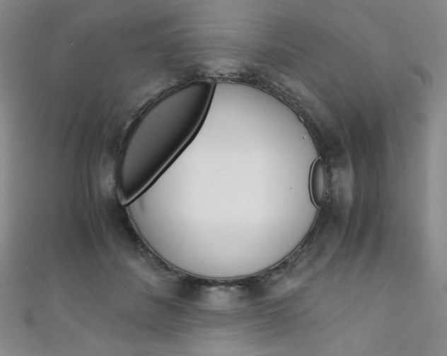 X0000111150508200906301040