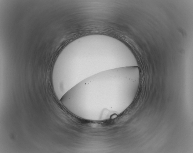 X0000111150509200906301040